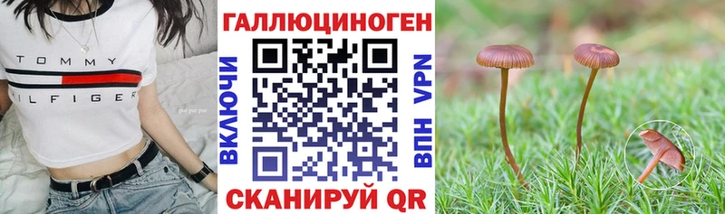 Галлюциногенные грибы Cubensis  Тогучин 